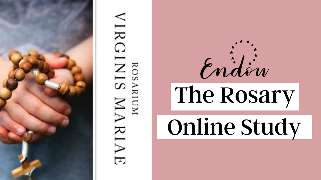 Rosarium Virginis Mariae | On The Holy Rosary Online Study