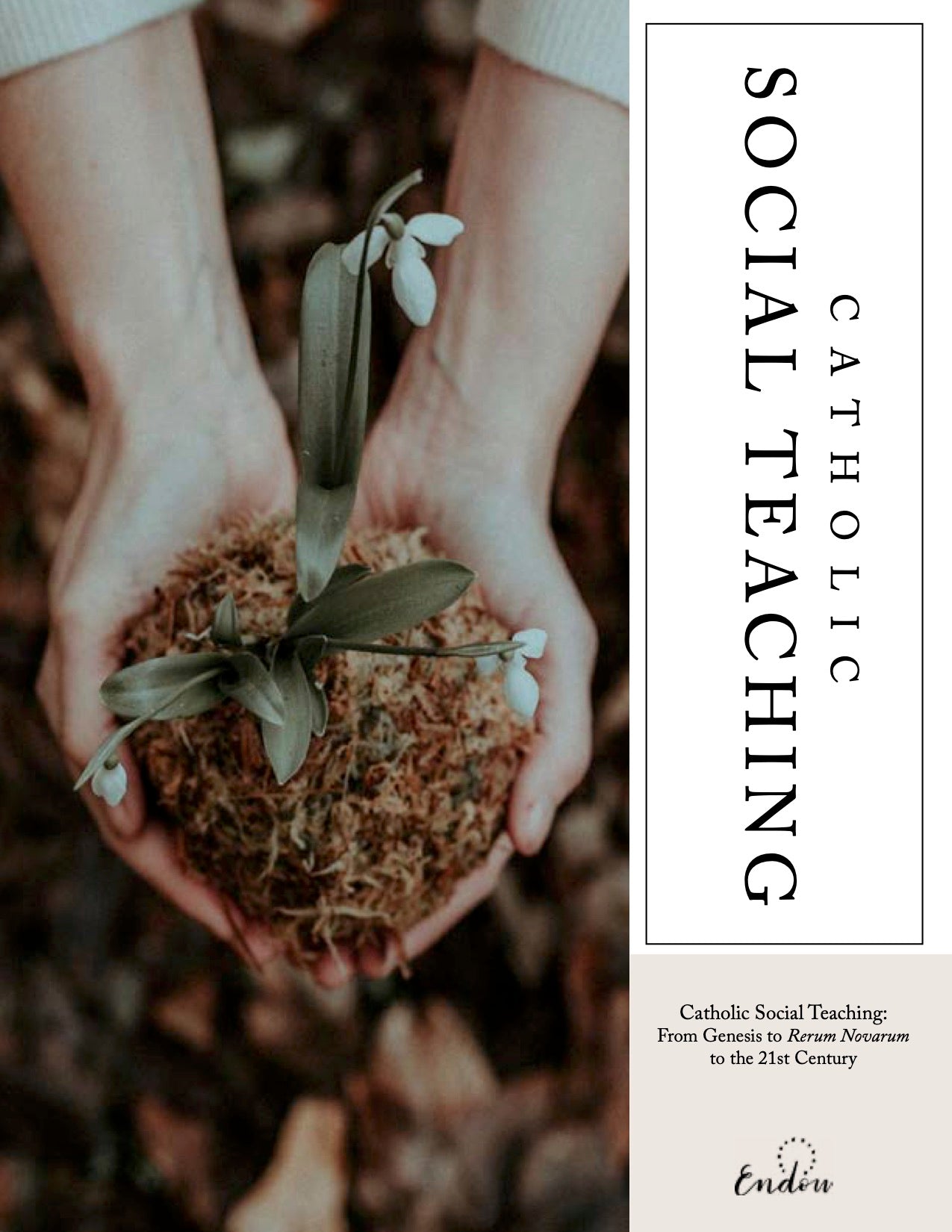 Catholic Social Teaching CATHOLIC SOCIAL TEACHING