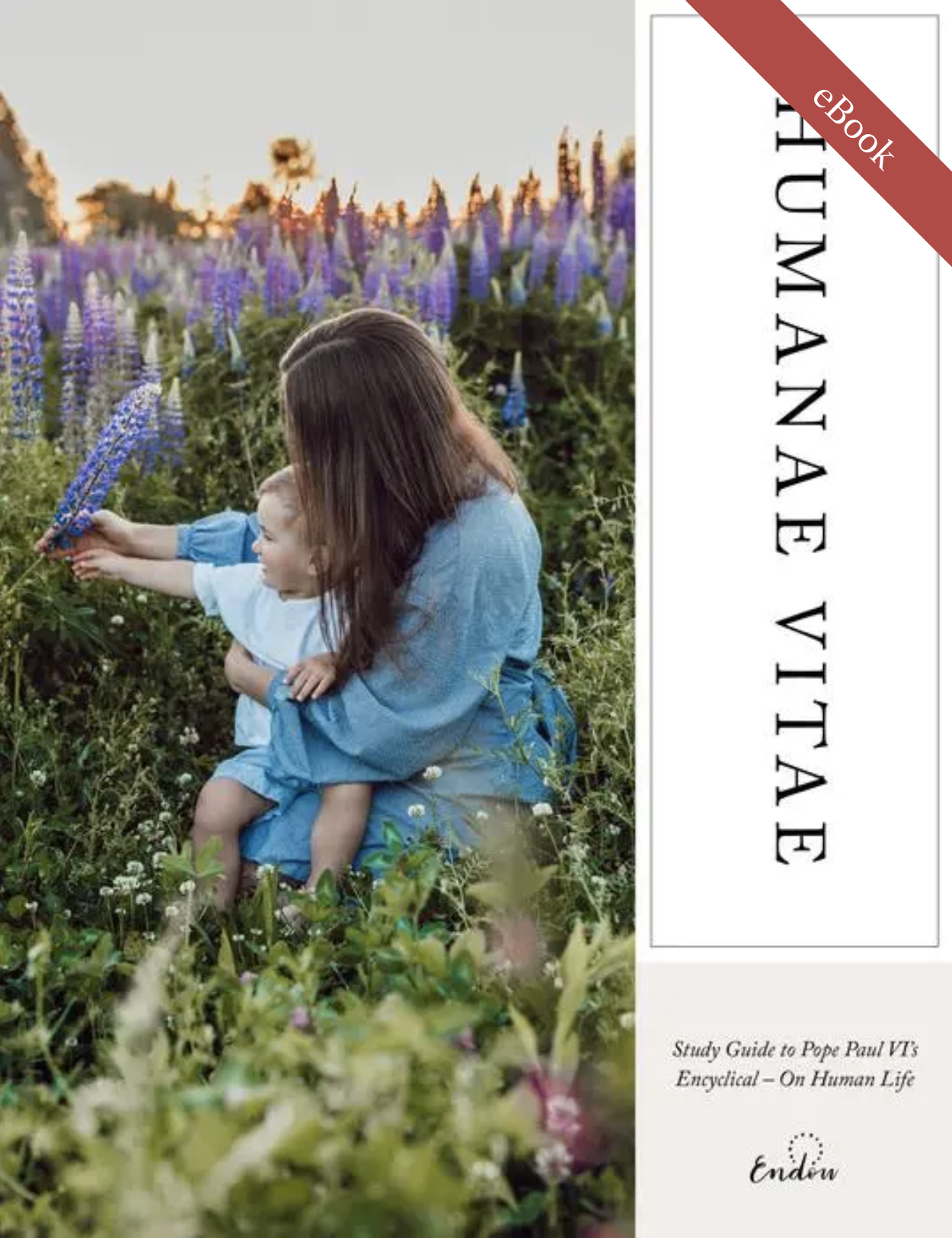 Humanae Vitae | Of Human Life eBook