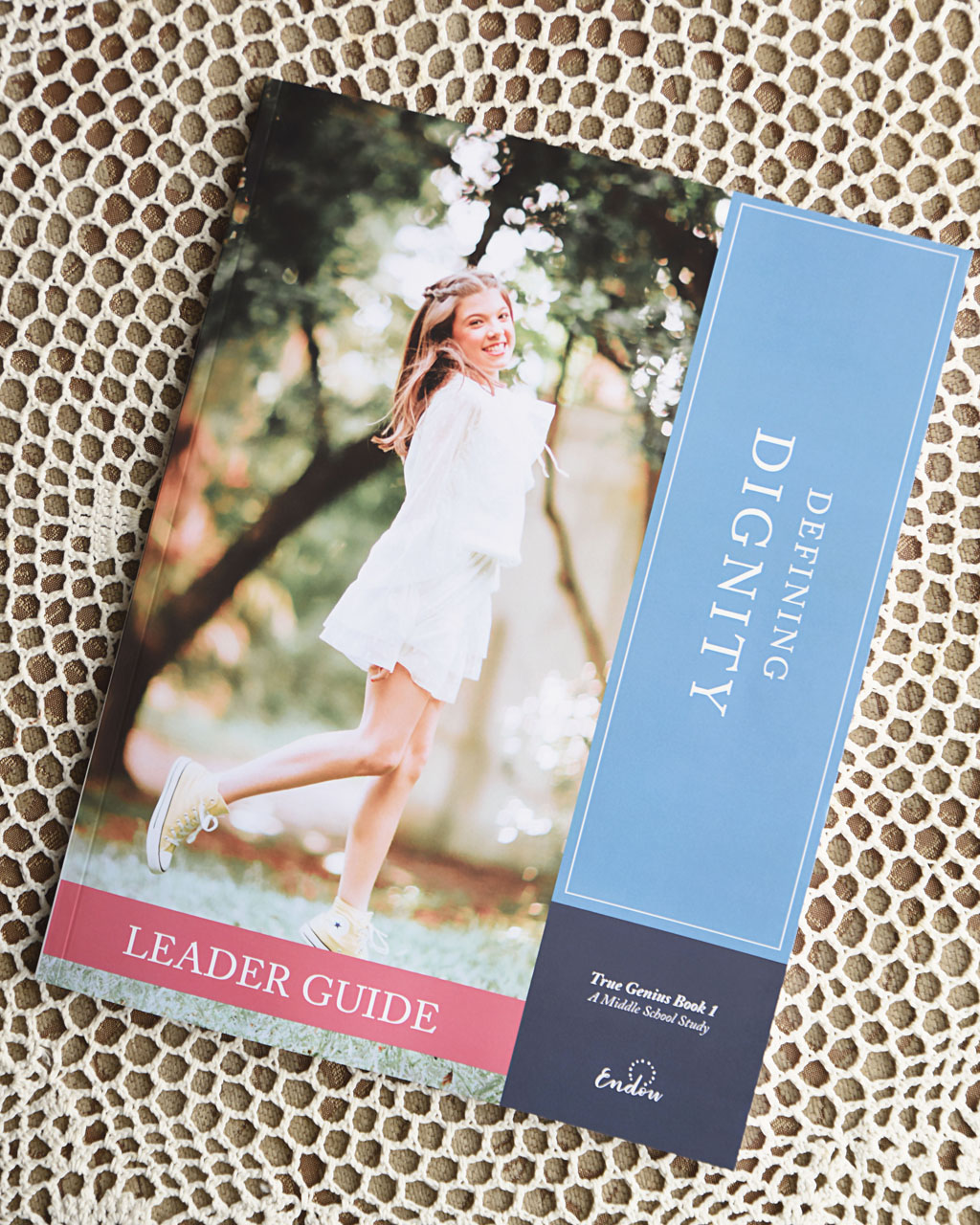 defining dignity leader guide